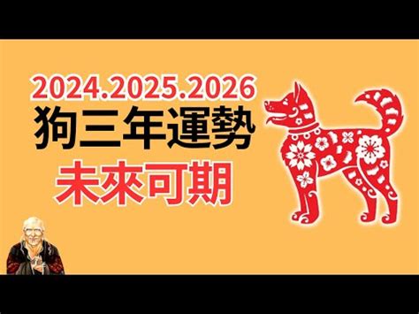 1982屬狗2023運勢顏色